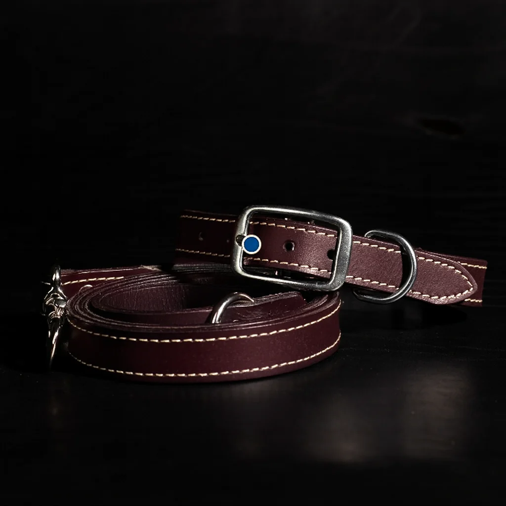 Trailblazer - Cognac Premium Leather Dog Leash and Collar Set - Image 8